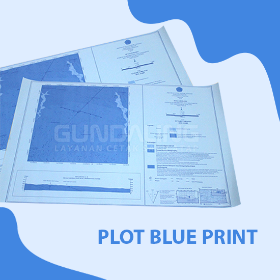 Plot Blue Print